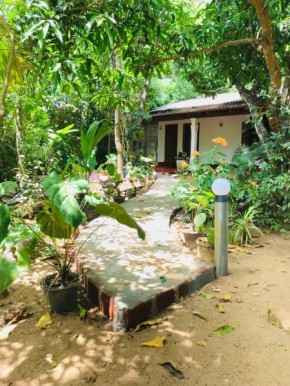 Sigiri Mihira Home Stay